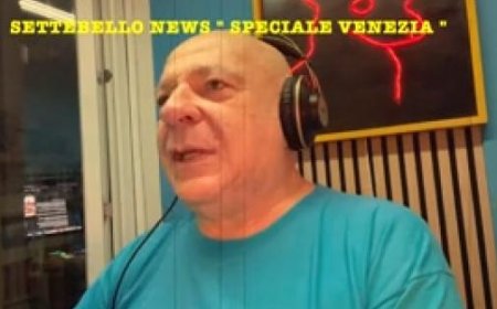 Sind wir am Lido oder in Hollywood? 7bello News kommt in Venedig an – Video