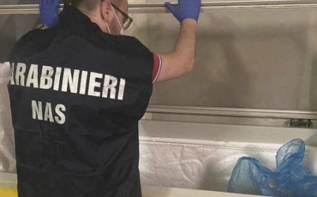 Ristorante a Parma : activités suspendues et amende pour insalubrité, insectes et aliments non conformes