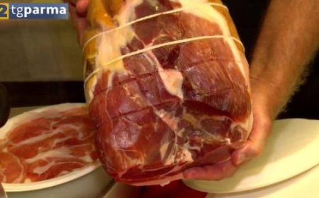 Im italienischen Langhirano beginnt das Parma Prosciutto Festival: Bericht über den ersten Abend – Video