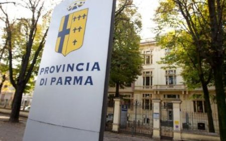 Élections provinciales : la compétition entre Cesari et Fadda. Les candidats des 4 listes en lice