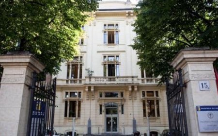 Élections provinciales : la chasse aux votes commence entre Cesari et Fadda