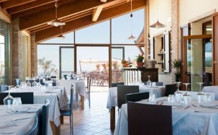 Découvrez Il Vigneto : un agriturismo traditionnel avec une touche de fantaisie