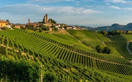 Septembre du vin : une escapade dans les collines des Langhe, à travers les villages, les châteaux et les grandes bouteilles