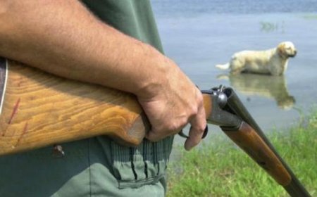 Tragique accident de chasse : un chasseur de 37 ans décède après un tir accidentel