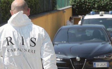 DNA-Tests für zweiten Körper bereitgestellt
