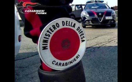 Paar aus Rumänien bezahlt Restaurantrechnung in Parma, stiehlt aber vor dem Verlassen das Handy der Inhaberin: Angezeigt