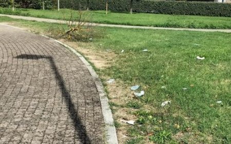 Wildmüll sammelt sich am Skatepark und im Via Romita Park – Fotos zeigen das Ausmaß in Parma