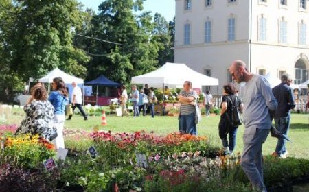 Grand succès de Ortocolto, la magie de la nature à Busseto