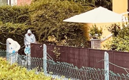 Les carabiniers continuent de fouiller le jardin des horreurs à Vignale