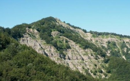 Disparition d’un avion entre l’Italie et la France : Mystère depuis hier après-midi