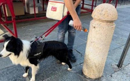 Die Pinkel-Flasche für Hunde? Nur wenige verwenden sie und einige beschweren sich