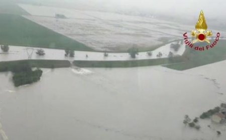 Erhebliche Schäden durch Regen und Schlamm in den Weinbergen von Bolgheri – Schadensüberprüfung im Gange
