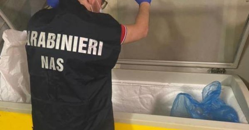 Bar in Fidenza vom Nas wegen Spinnweben, Schmutz und fehlender Dokumente bestraft