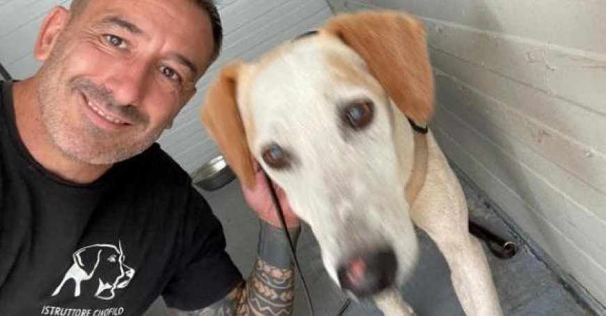 Retrouvé sain et sauf, Positano s’était enfui du chenil