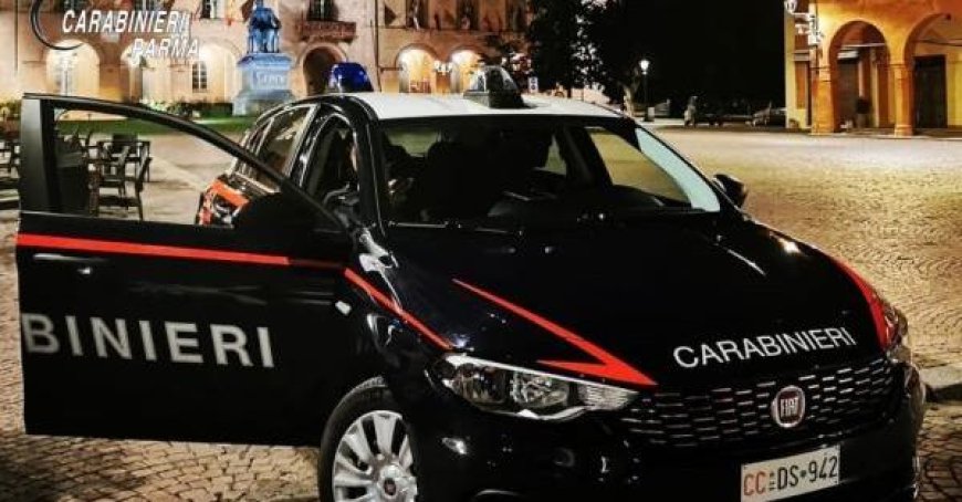 Alcool et drogue à Fidenza : une longue liste de plaintes, de permis retirés et de signalements