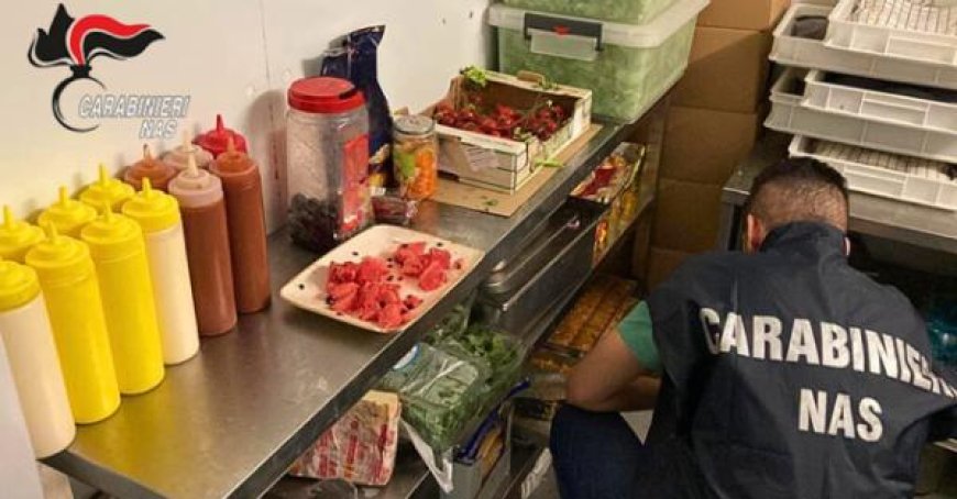 Restaurant Fined 4500 Euros for Spiders and Cockroaches After Nas Inspection
