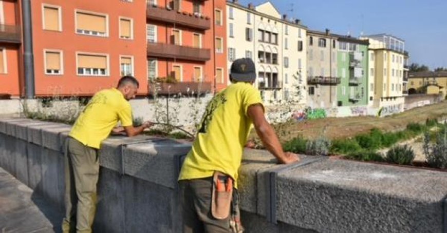 Restoration of Mezzo Bridge Flower Beds with 540 New Plants – Photos