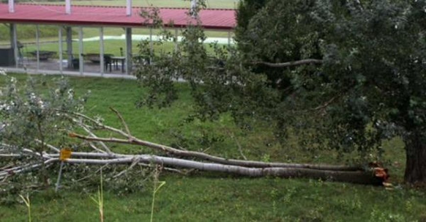 Sturm in Polesine, die Schadensbilanz – Fotos