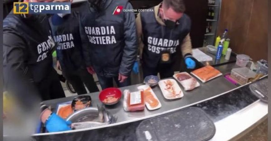 Küstenwache von La Spezia: Maximale Beschlagnahmung von Fischprodukten auch in Parma-Video