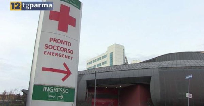 Krankenhaus in Parma mit Videoüberwachung und Polizeistation – Video aufgenommen