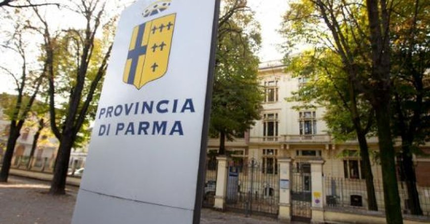 Élections provinciales : la compétition entre Cesari et Fadda. Les candidats des 4 listes en lice