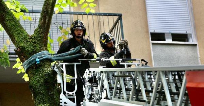 Gefährlicher Baum “bedroht” ein Wohnhaus in der Via Isola – Foto