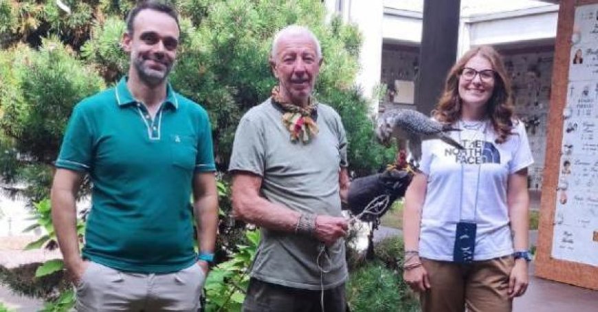 Italian Man Reunites with Falcon Dante in Valera After Two Months: Heartwarming Reunion Caught on Camera
