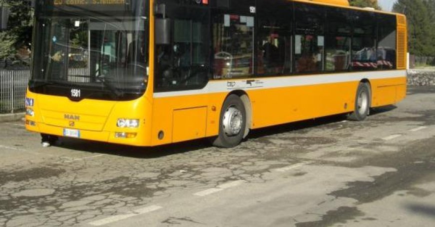 Contrôleur agressé avec du spray d’orties dans le bus 11 : un jeune de 20 ans signalé