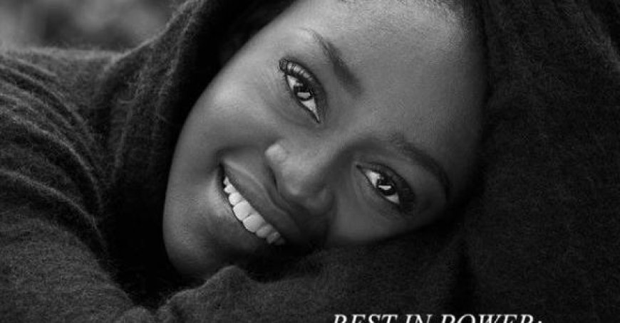 Adieu à Michaela DePrince, la danseuse étoile américaine de 29 ans