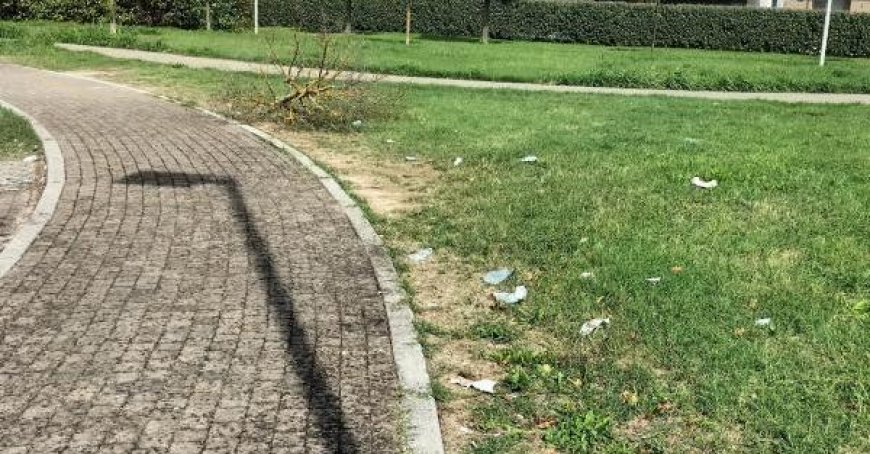 Wildmüll sammelt sich am Skatepark und im Via Romita Park – Fotos zeigen das Ausmaß in Parma