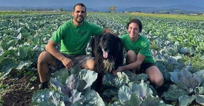 Davide Riva : “Tout a commencé en vendant des accoudoirs”