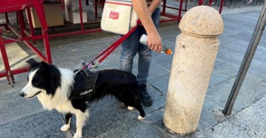 Die Pinkel-Flasche für Hunde? Nur wenige verwenden sie und einige beschweren sich