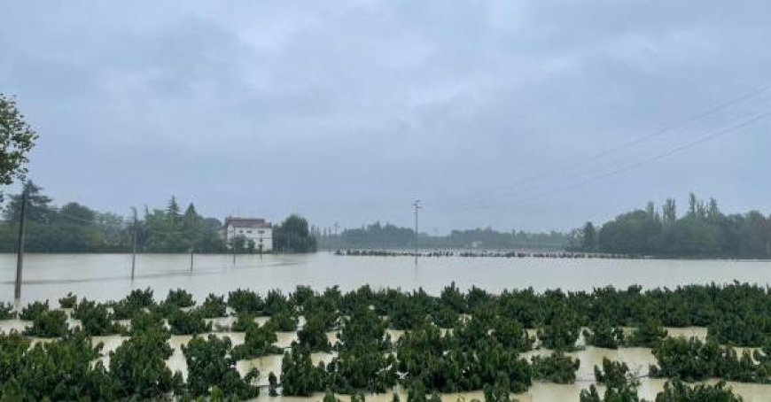 Alerte météo rouge en Romagne : piene dei fiumi, frane et crues des cours d’eau mineurs. Alerte orange pour les glissements de terrain et les crues des cours d’eau mineurs dans les provinces de Parme