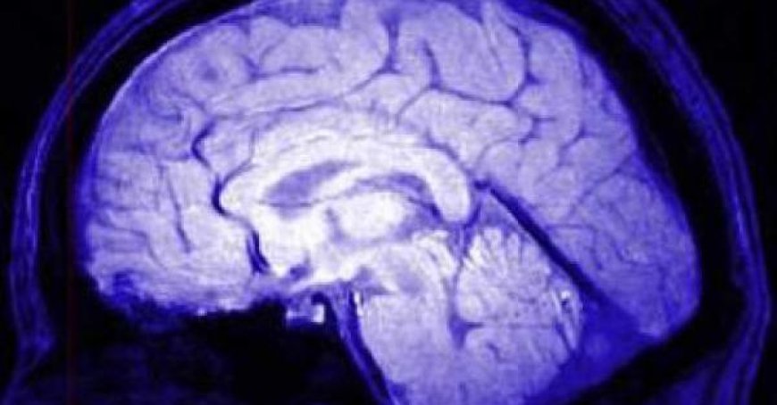 Vieillissement mental : des tests gratuits avec des psychologues