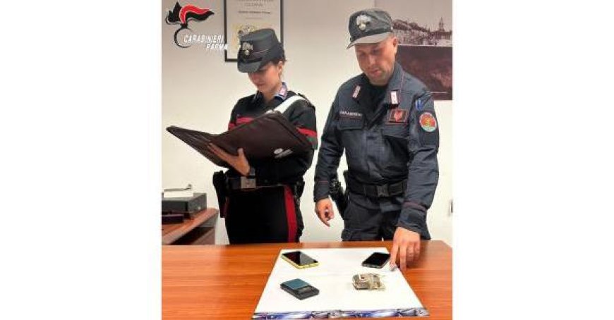 Un homme de 38 ans arrêté pour possession de hashish dans le parc de la Reggia à Colorno