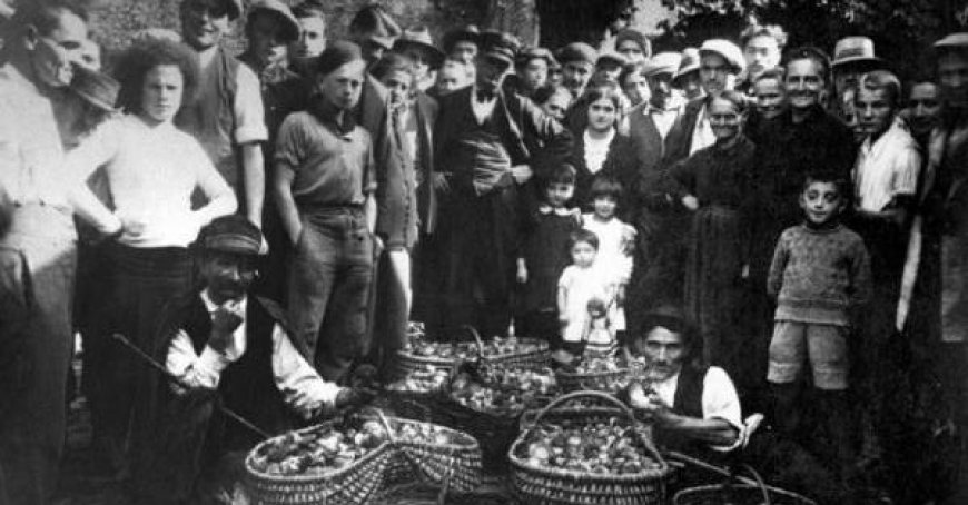 The ‘Seeking Friars’ and the Legend of Fra Ranaldo, Protector of Mushroom Hunters
