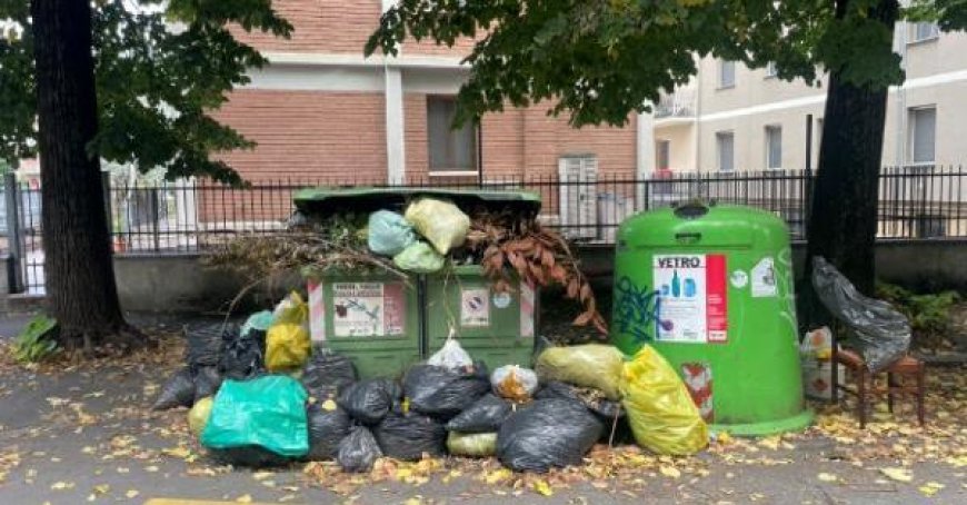 98 Tonnen Abfall in einem Jahr auf den Straßen gesammelt
