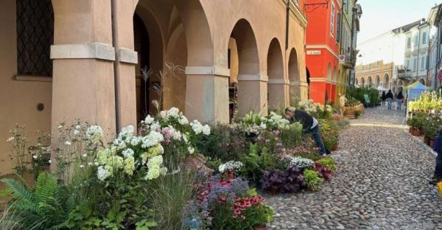 Wochenende von ‚Verlorenen Tieren und Pflanzen‘ kehrt nach Guastalla zurück – Das Programm