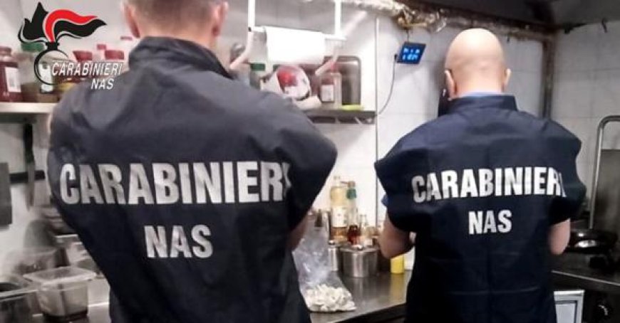 Sanctions et fermeture d’un restaurant pour irrégularités et saleté : 270 kilos de denrées confisqués, amendes de 4 500 euros et activité suspendue